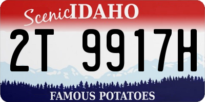 ID license plate 2T9917H