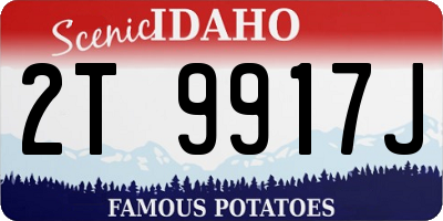 ID license plate 2T9917J