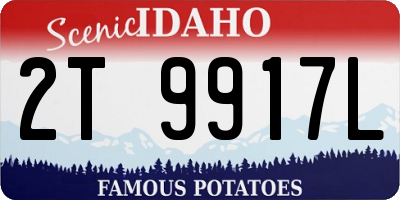 ID license plate 2T9917L