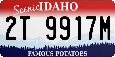 ID license plate 2T9917M