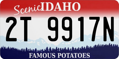 ID license plate 2T9917N