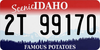 ID license plate 2T9917O