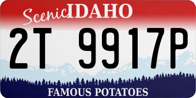 ID license plate 2T9917P