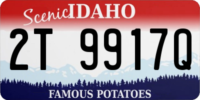 ID license plate 2T9917Q