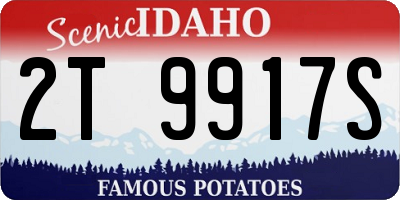 ID license plate 2T9917S