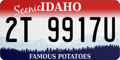 ID license plate 2T9917U