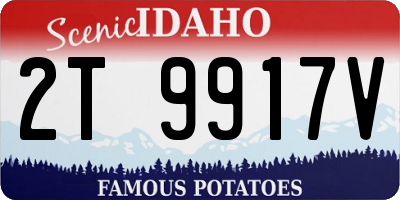 ID license plate 2T9917V