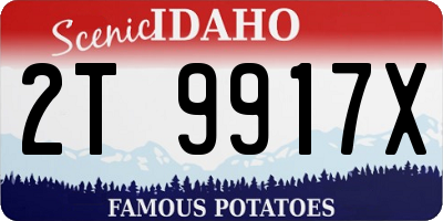 ID license plate 2T9917X