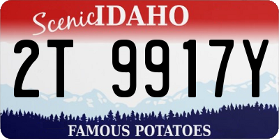 ID license plate 2T9917Y