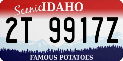 ID license plate 2T9917Z