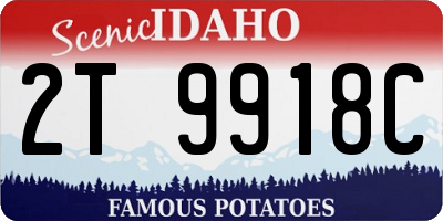 ID license plate 2T9918C