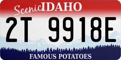 ID license plate 2T9918E