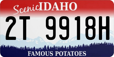 ID license plate 2T9918H