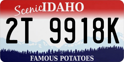 ID license plate 2T9918K