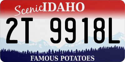 ID license plate 2T9918L