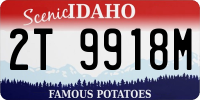 ID license plate 2T9918M