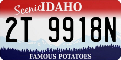 ID license plate 2T9918N