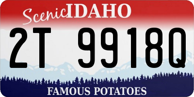 ID license plate 2T9918Q