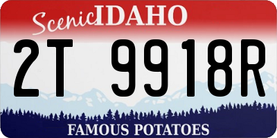 ID license plate 2T9918R