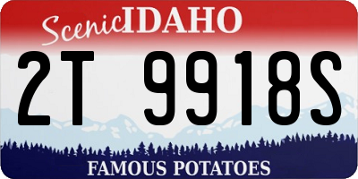 ID license plate 2T9918S