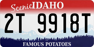 ID license plate 2T9918T