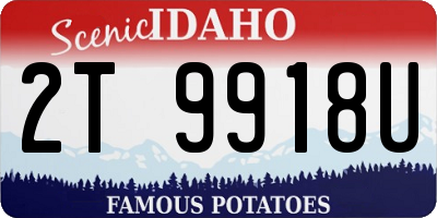 ID license plate 2T9918U