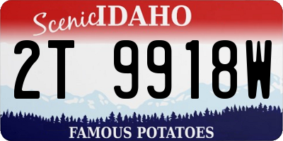 ID license plate 2T9918W