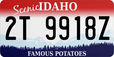 ID license plate 2T9918Z