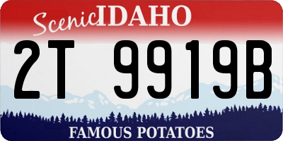 ID license plate 2T9919B