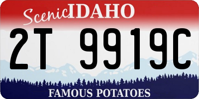 ID license plate 2T9919C