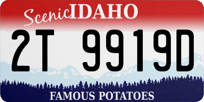 ID license plate 2T9919D