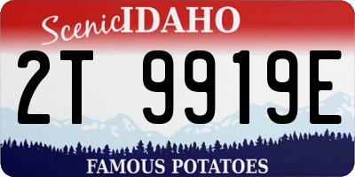 ID license plate 2T9919E