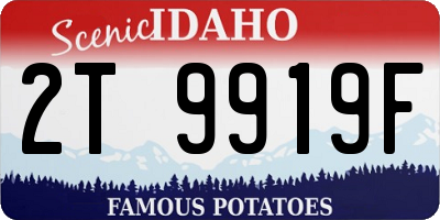 ID license plate 2T9919F