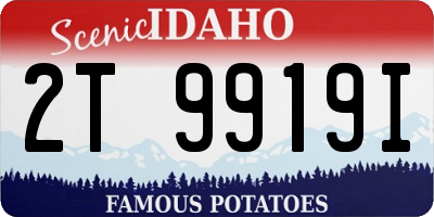 ID license plate 2T9919I