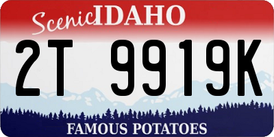 ID license plate 2T9919K