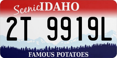 ID license plate 2T9919L