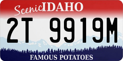 ID license plate 2T9919M