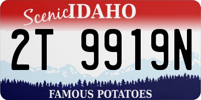 ID license plate 2T9919N