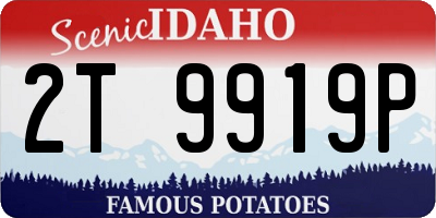 ID license plate 2T9919P