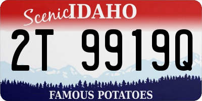 ID license plate 2T9919Q