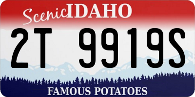 ID license plate 2T9919S