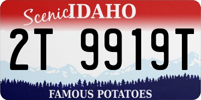 ID license plate 2T9919T