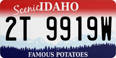 ID license plate 2T9919W