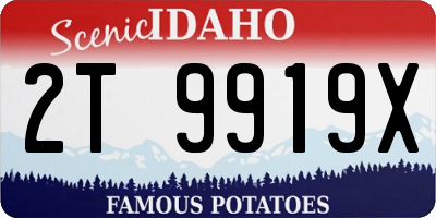 ID license plate 2T9919X