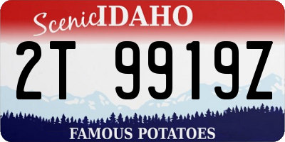 ID license plate 2T9919Z