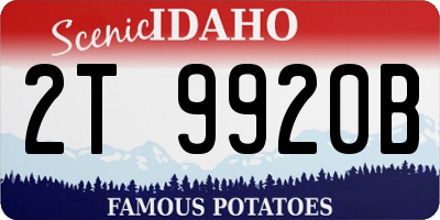 ID license plate 2T9920B