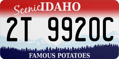 ID license plate 2T9920C