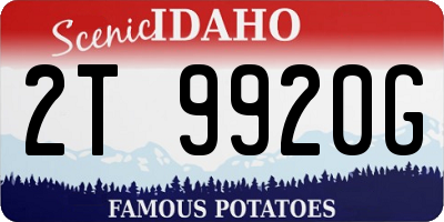 ID license plate 2T9920G