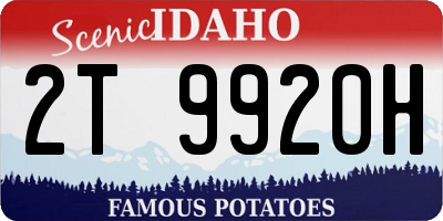 ID license plate 2T9920H