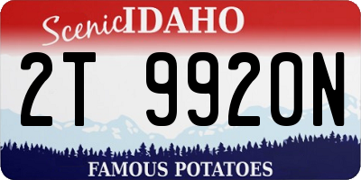 ID license plate 2T9920N